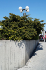 Konstanz - Konzilstra�e