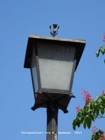 Berchtesgaden - Marktplatz