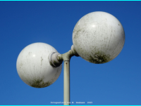 Braunschweig (Ortsteil Kanzlerfeld) - Kosselstrae