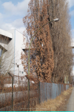 Berlin - Otternbuchtstrae