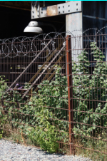 Dortmund - Industriegel�nde Phoenix-West