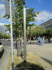 Berlin - Unter den Linden