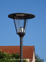 Frankfurt/Oder - Gro�e Oderstra�e