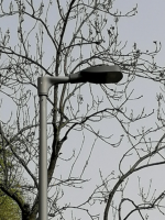 Berlin - Gotha-Allee