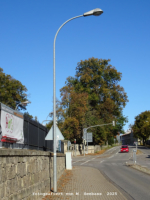 Quedlinburg - Wipertistrae