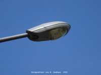 Heidelberg - Tiergartenstra�e