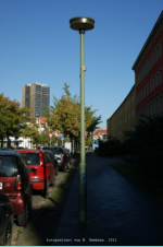 Unter den Eichen