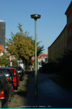 Unter den Eichen