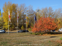 Jakob-Kaiser-Platz