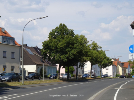 Schweinfurt - Landwehrstrae