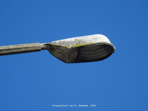 Straubing - Oskar-von-Miller-Stra�e