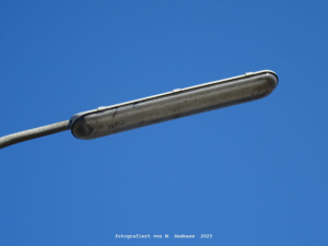 Straubing (Ortsteil Ittling)  - Romansstra�e