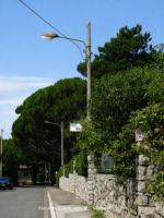 Udine