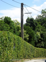 Linz - Schablederweg
