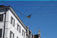 Bregenz - Rathausstra�e