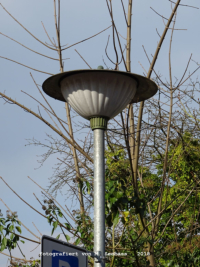 Neckargem�nd - Dilsberger Stra�e