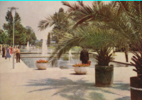 Erfurt - Ausstellungsgel�nde  ca. 1961